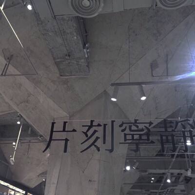 全民真三最新版