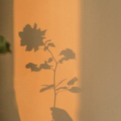 赤血屠龙变态版下载